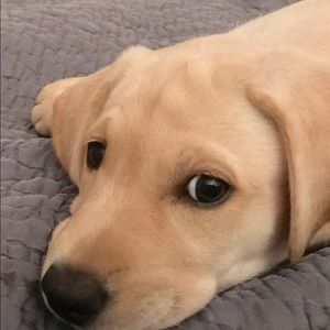 Meet your Posher, Lillian